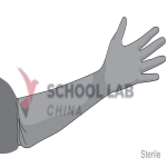 Gloves,gyn,pwdfree,large,ster,s.u.,pair